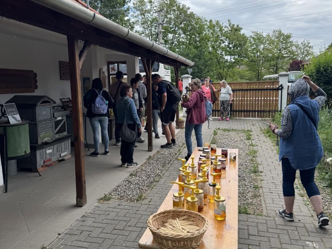 Mézkóstoló asztal a Mézmúzeum udvarán