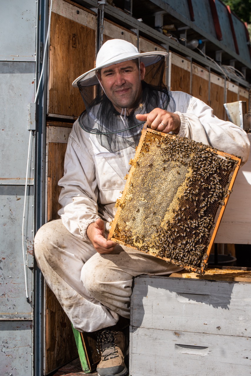 Mézes Gergő mesterméhész lépet tart a kezében
